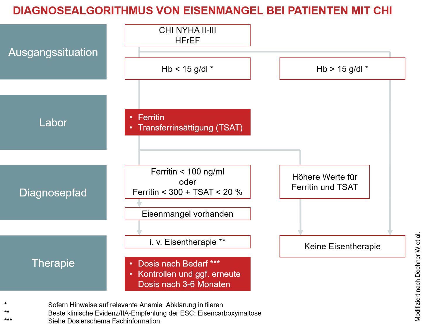 Algrorithmus zur Diagnose von Eisenmangel | PRAXIS DR. BERGMANN