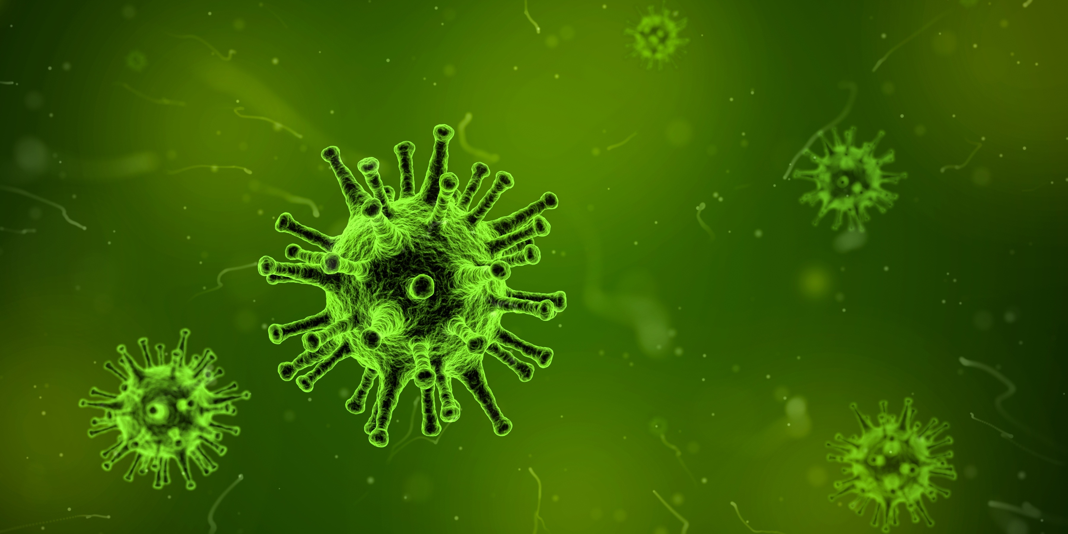Influenza | PRAXIS DR. BERGMANN